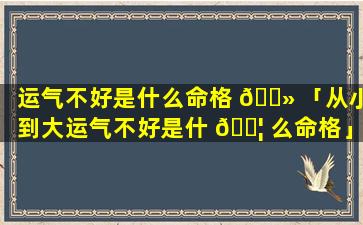 运气不好是什么命格 🌻 「从小到大运气不好是什 🐦 么命格」